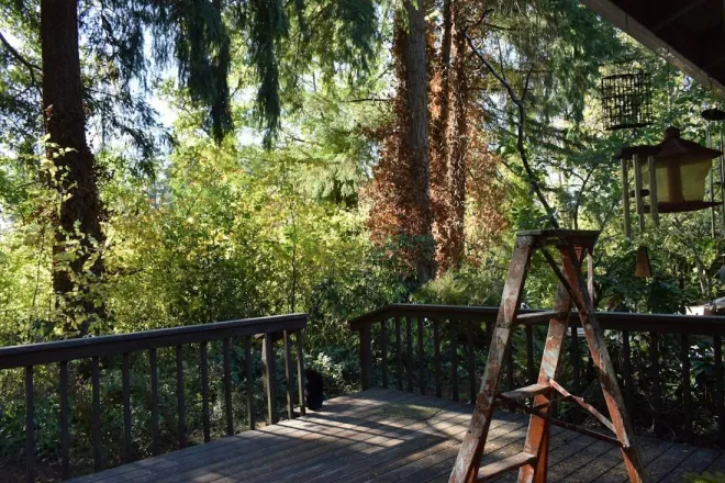 Design reference: elevated deck with a dark wood railing looking out over a slope of fir trees, with a lantern on a post